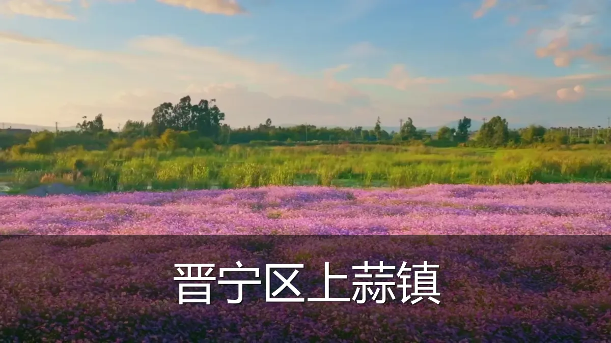 晋宁区上蒜镇